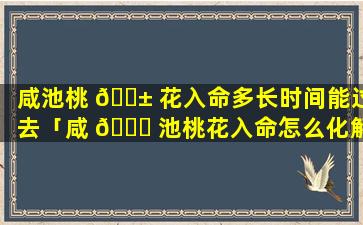 咸池桃 🐱 花入命多长时间能过去「咸 🕊 池桃花入命怎么化解」